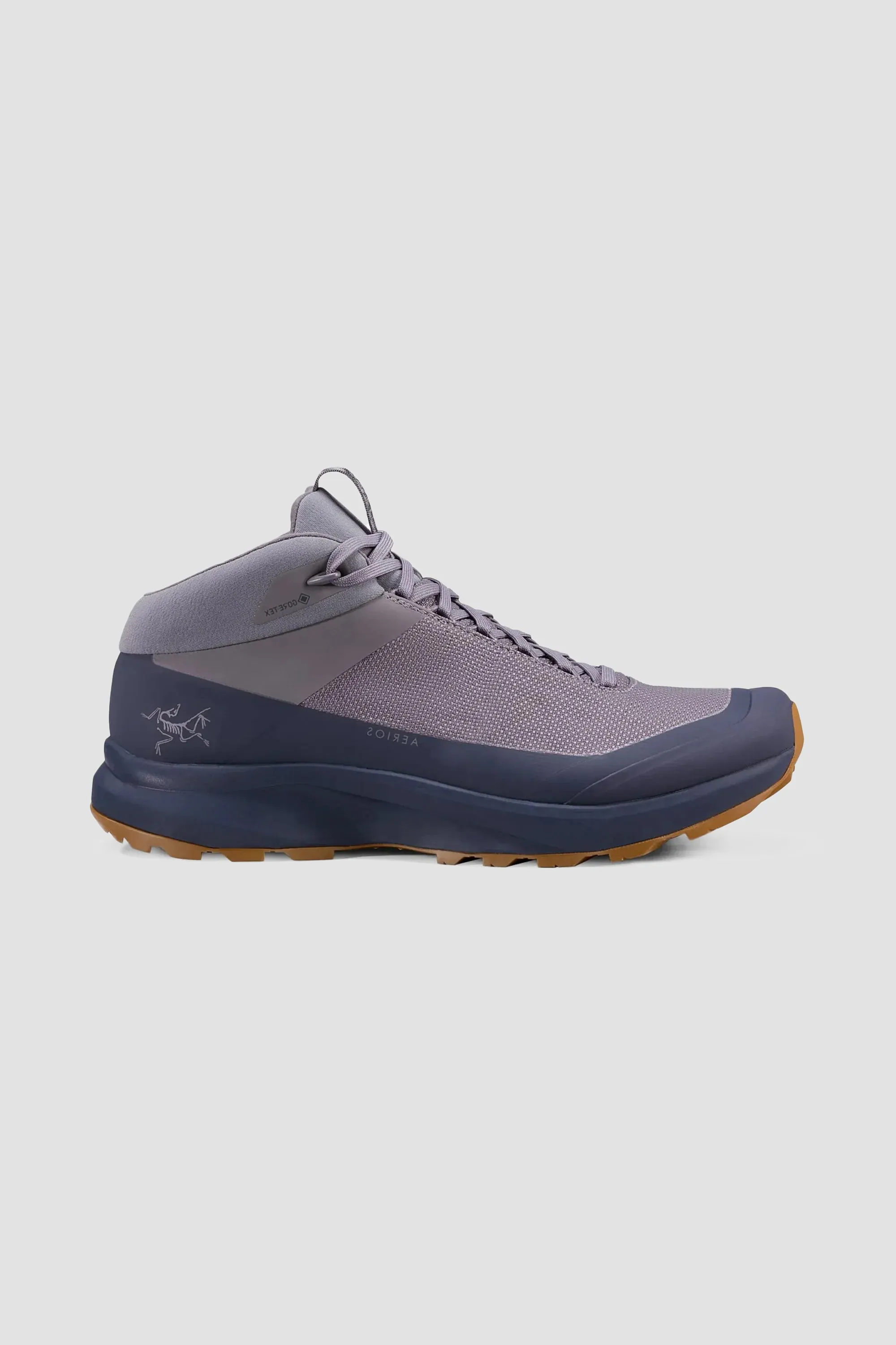 Arc'teryx Men's Aerios FL 2 Mid GTX Shoe in Void/Black Sapphire