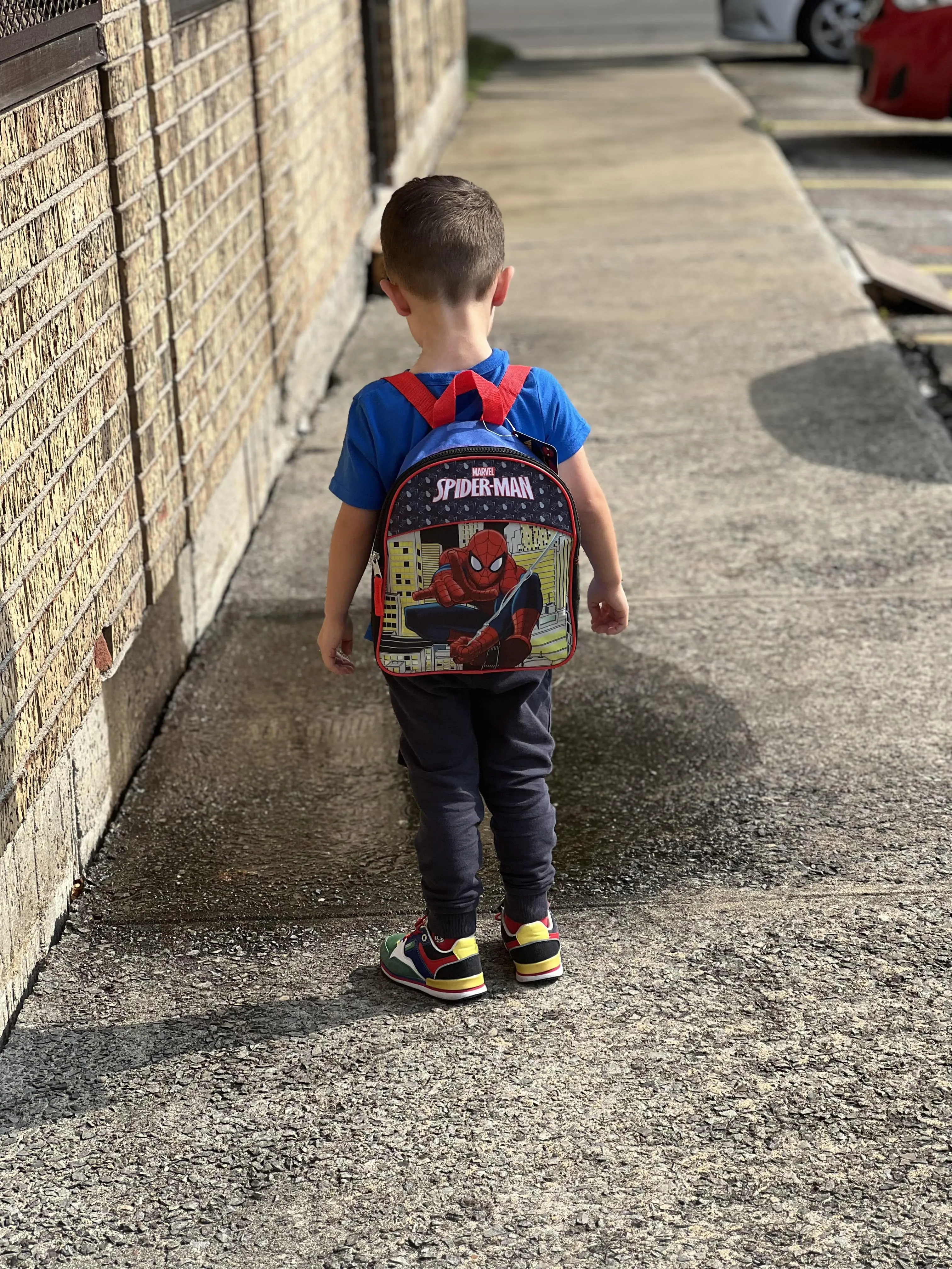 Avengers & Spiderman Toddler Backpack